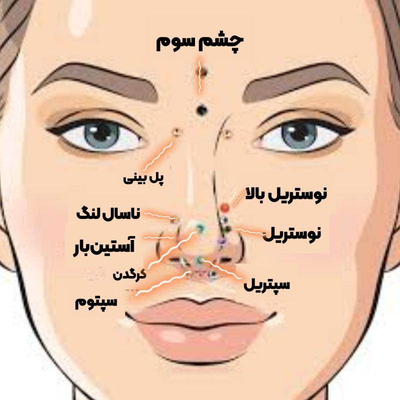 انواع <yoastmark class=